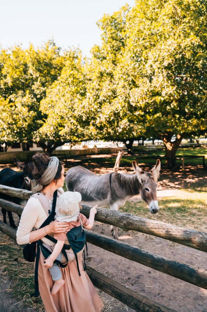 Babylonstoren Tiere