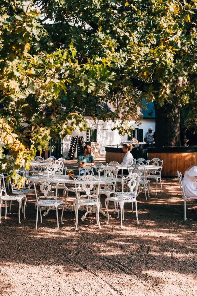 Boschendal Weingut