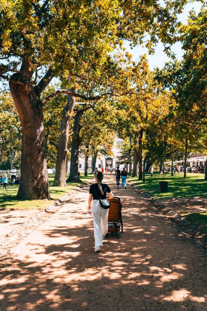 Groot Constantia