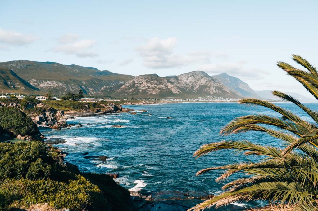 Hermanus Cliff Path