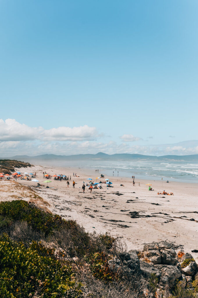 Hermanus Sehenswürdigkeiten