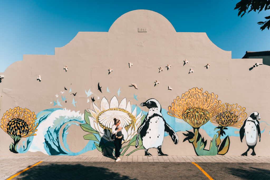 Hermanus Street Art