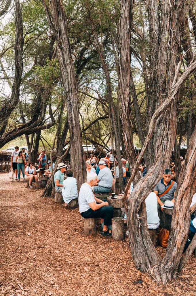 Sedgefield Farmers Market