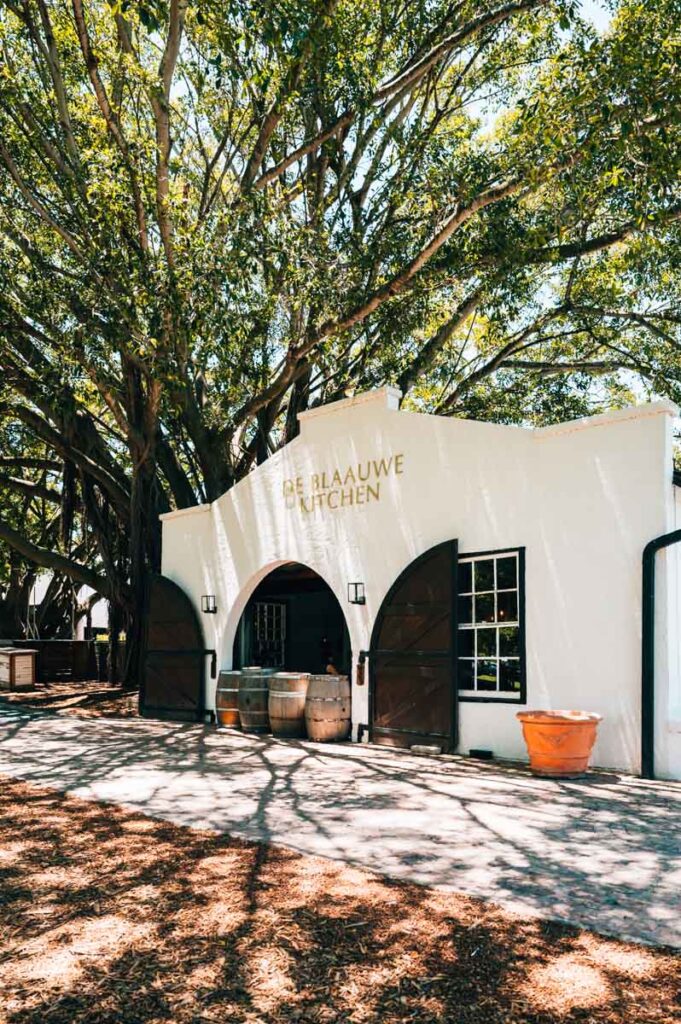 Stellenbosch Blaauwklippen