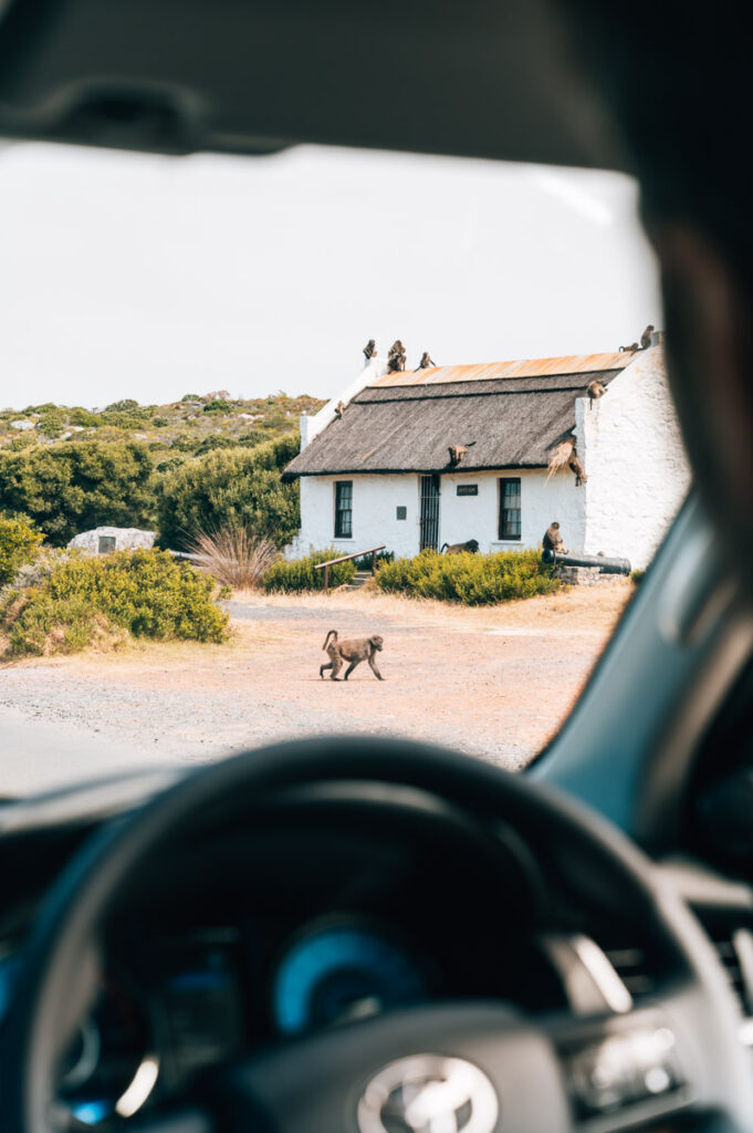 Südafrika Autofahren Sicherheit
