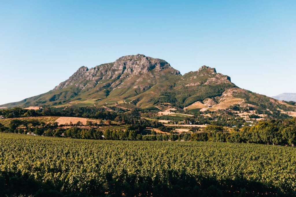 Südafrika Winelands