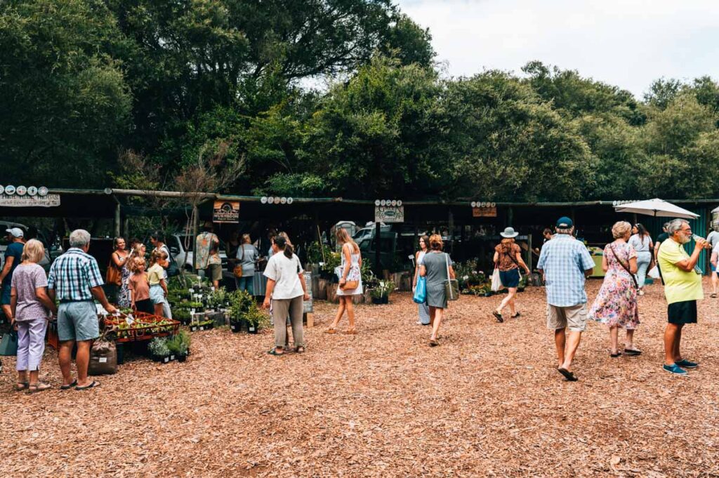 Wild Oats Farmers Market