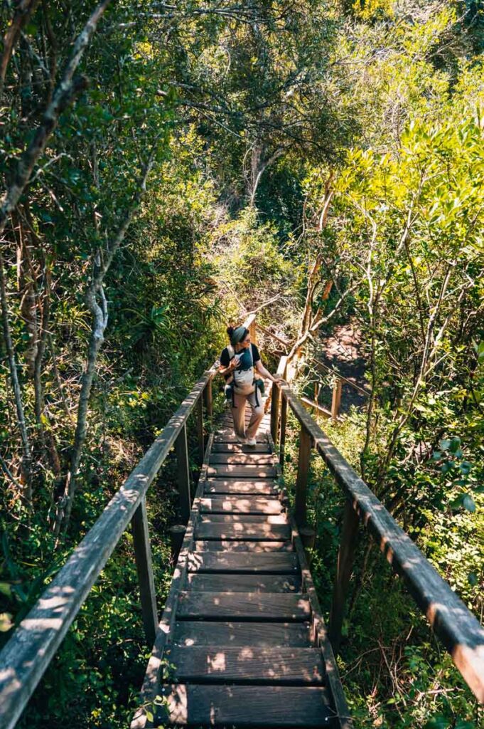 Wilderness Kingfisher Trail
