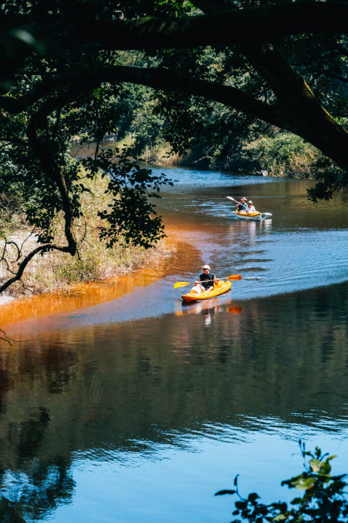 Wilderness Tipps Blog