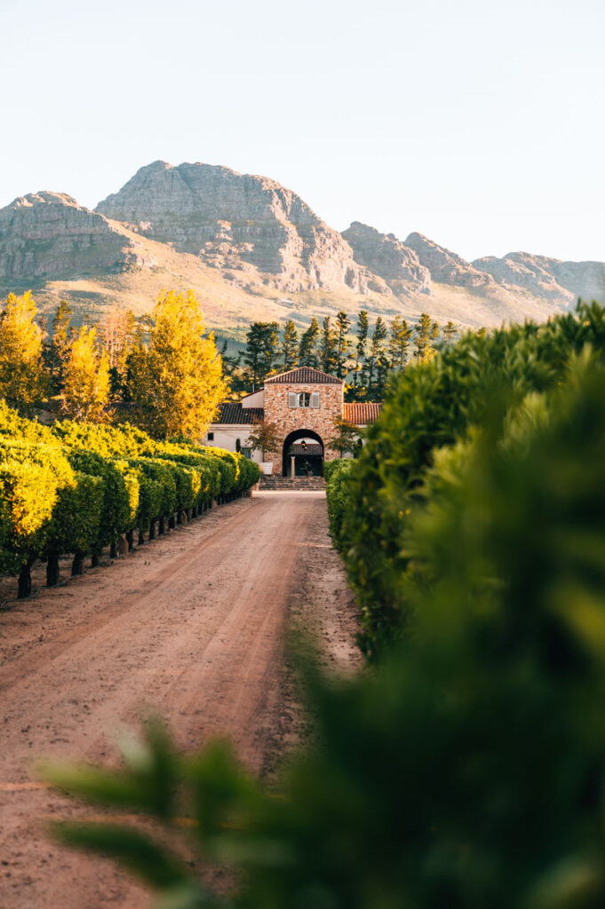 Winelands Südafrika