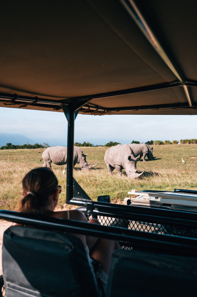 Südafrika Reiseroute Roadtrip Tipps