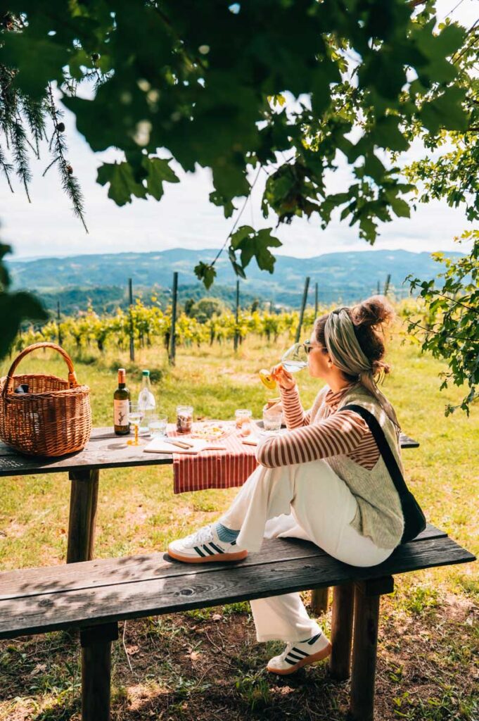 Südsteiermark Picknick Tipps