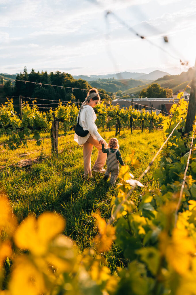 Südsteiermark Reisetipps