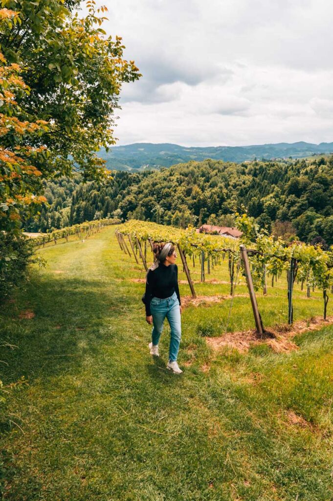 Südsteiermark Wanderung Tipp