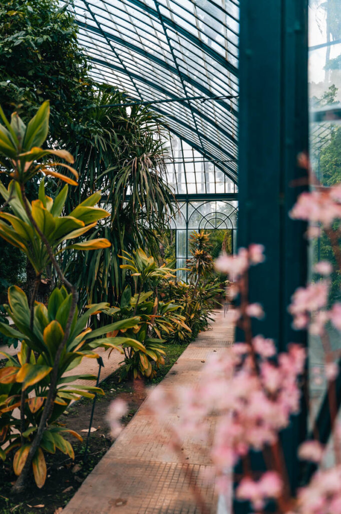 Botanischer Garten Palermo